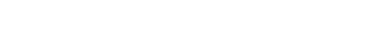 Asset 1